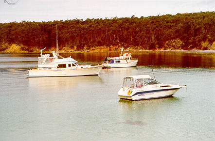 124124The_fleet_-_N_Tinpot_-_Xmas_02