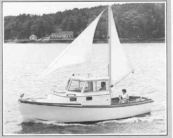 20tjms1 (2).jpg