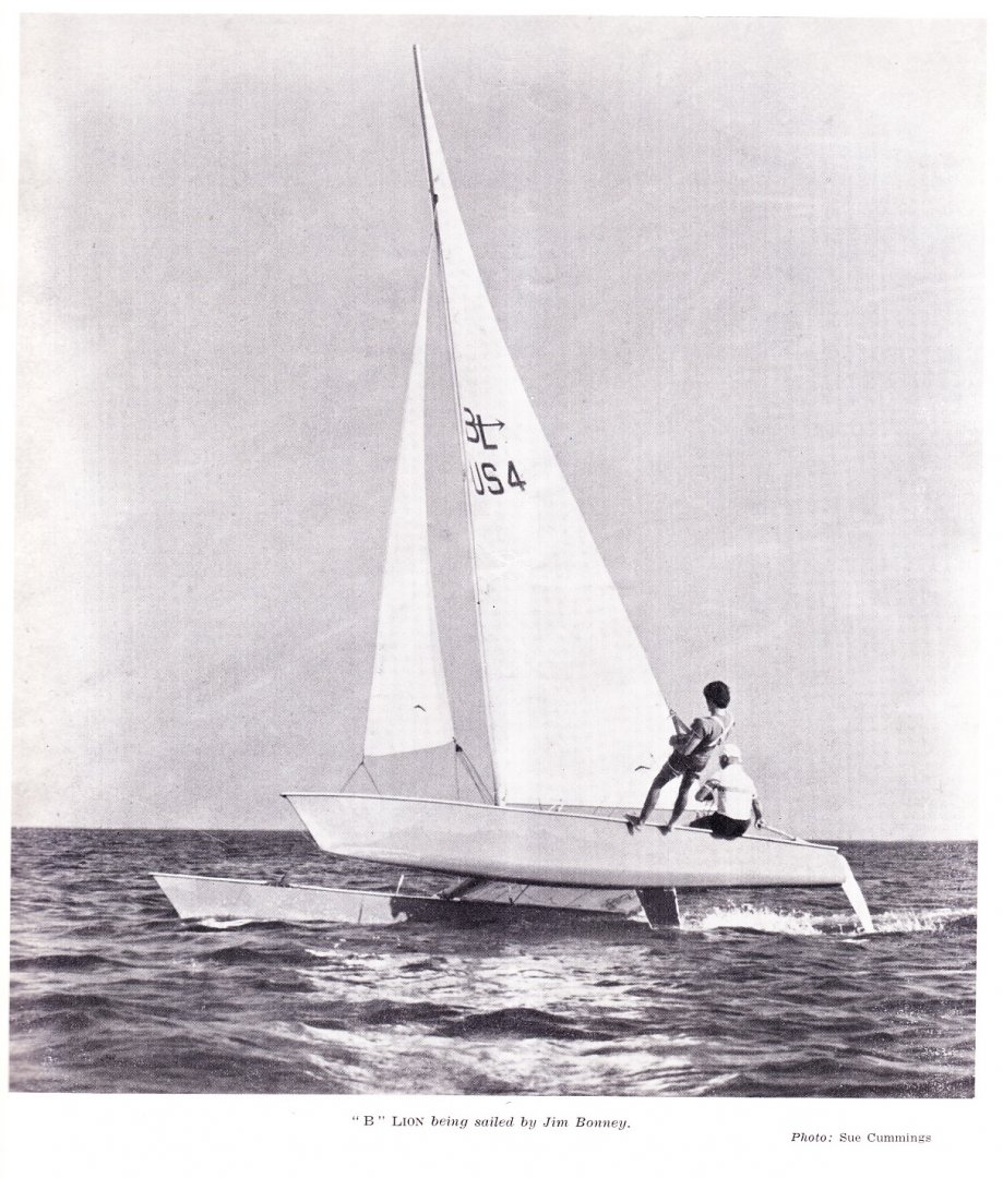 B-LionSailing.jpg