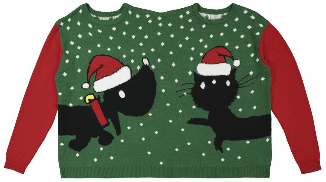 Christmas sweater for 2 people dog Takkie cat Siepie from Jip and Janneke by Dutch HEMA 1.jpg