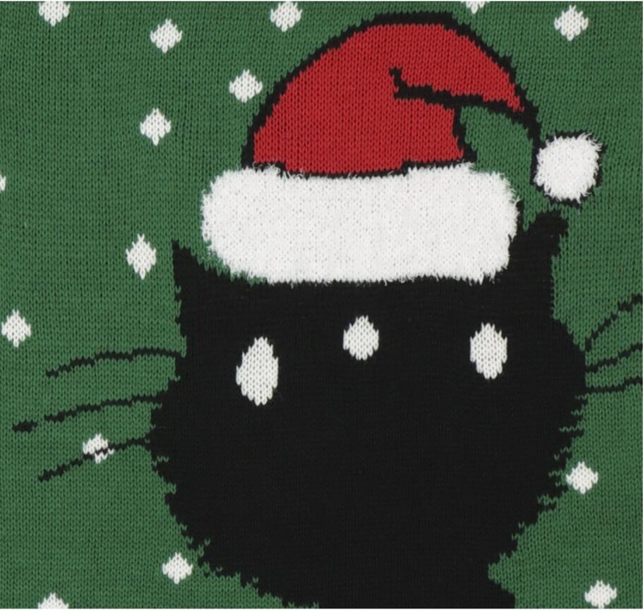 Christmas sweater for 2 people dog Takkie cat Siepie from Jip and Janneke by Dutch HEMA 4.jpg