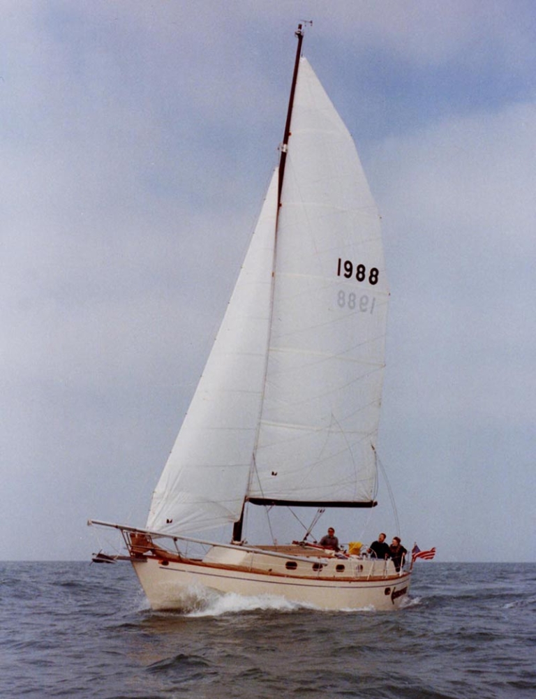 corroboree-sailing-768x1001.jpg