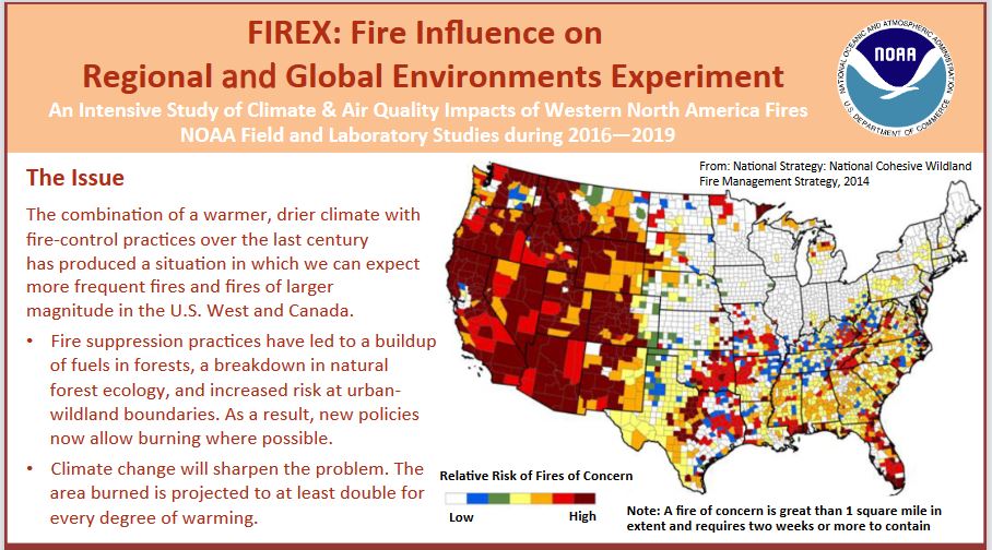 Forest fires impact.JPG