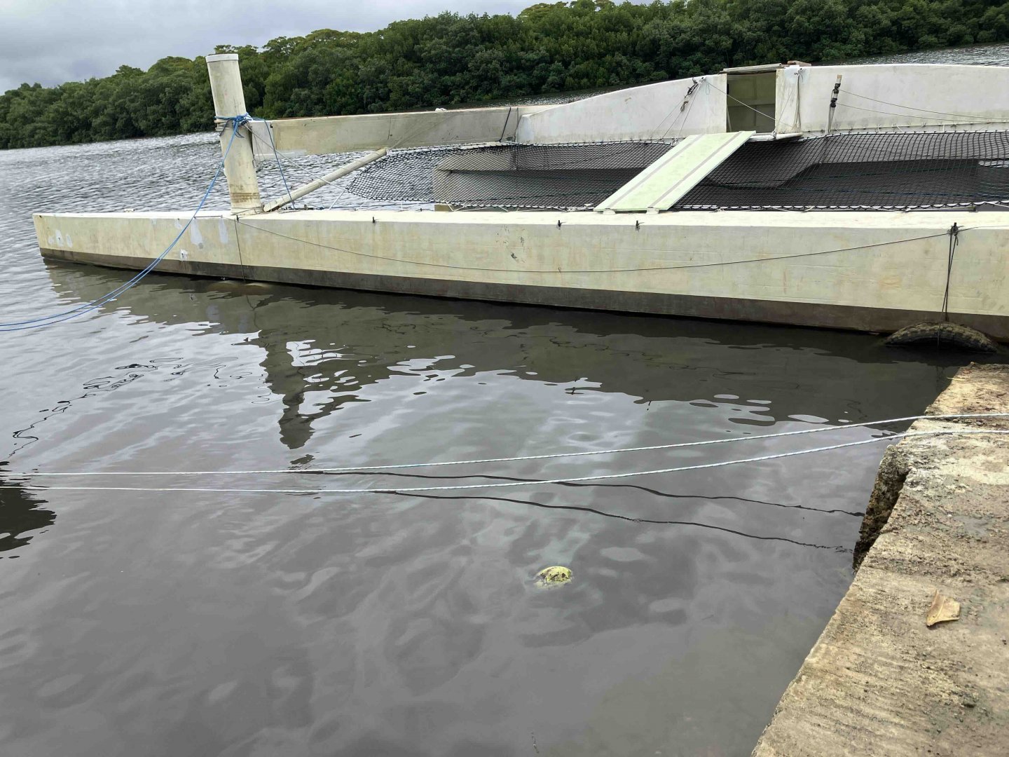 Long hull at launcg.jpeg