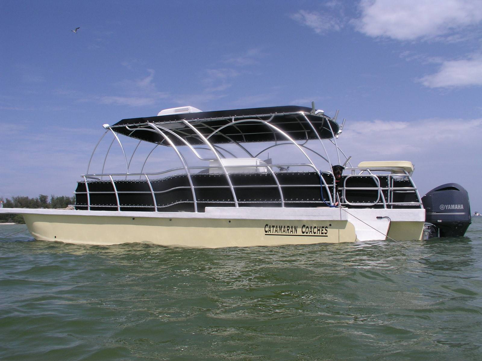 Opinions Wanted High Speed Fiberglass Pontoon Boats Boat Design Net