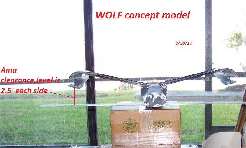 WOLF ama foil clearance sitting level 9-30-17 001.JPG