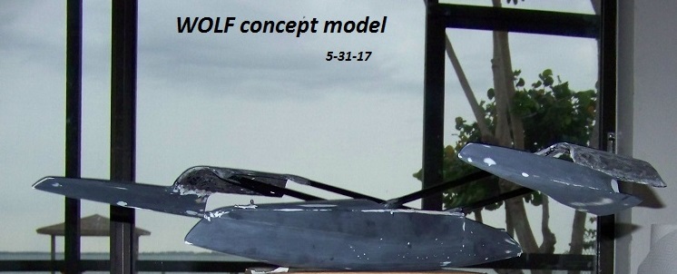 WOLF concept model 5-31-17 001.JPG