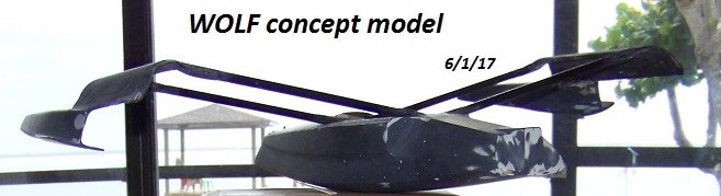 WOLF concept model  6-1-17 001 (2).JPG