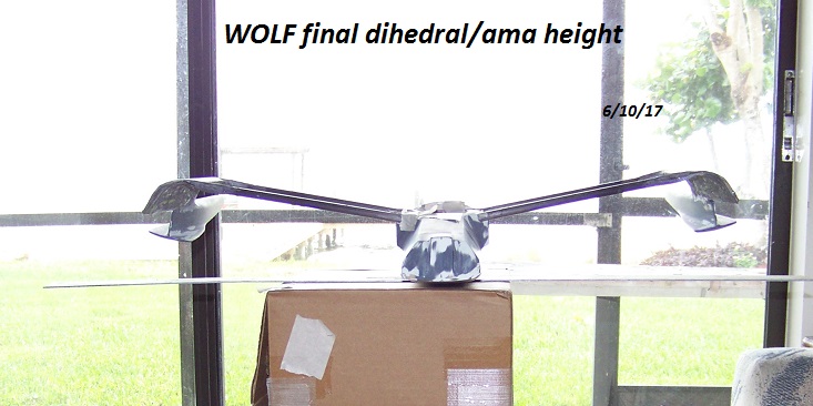 WOLF concept model FINAL AMA height 001.JPG