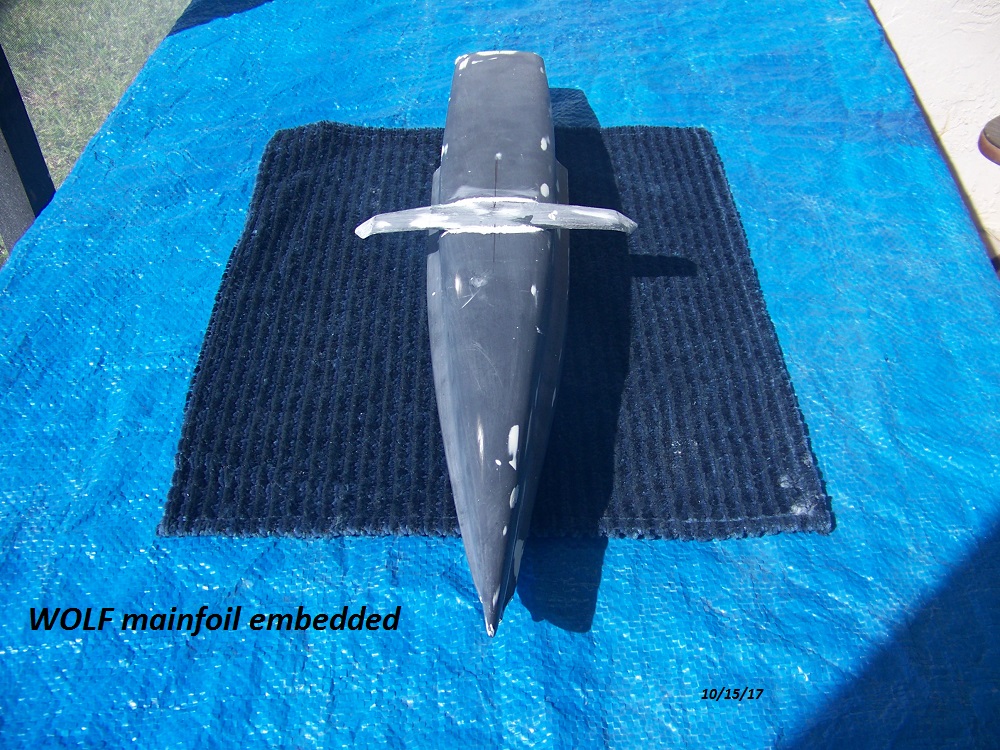 WOLF concept model-foil embedded 001.JPG