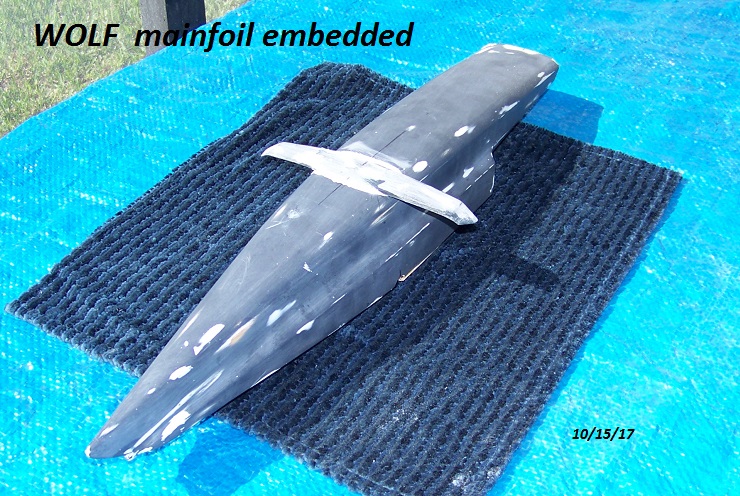 WOLF concept model-foil embedded 002.JPG