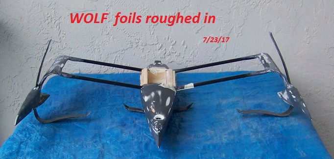 WOLF concept model--foils 7-23-17 001.JPG
