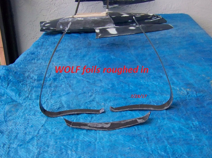 WOLF concept model--foils 7-23-17 008.JPG