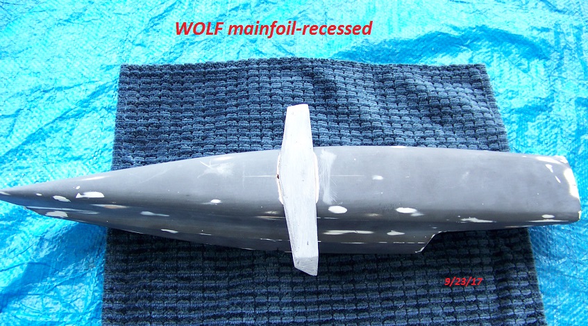 WOLF main foil- 004.JPG