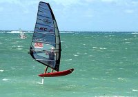 small_windsurf_action3.jpg