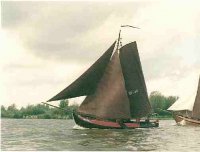 bu59.jpg