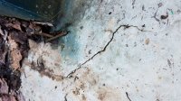 20171123_150455.jpg