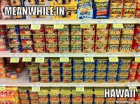 meanwhile-in-hawaii-46271f.jpg