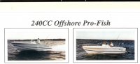 bluefin24.jpg