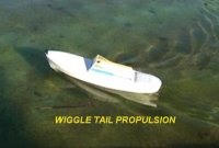 WIGGLEBOAT.JPG