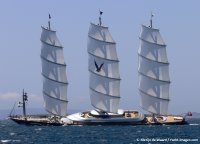 SY-Maltese-Falcon-big.jpg
