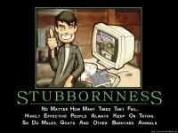 stubbornness1024x768.jpg