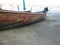 IMG_5294.JPG