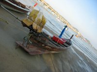 IMG_5300.JPG