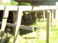 PIC_0004.JPG