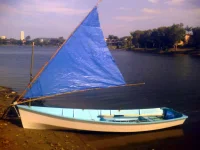 phone0841.webp