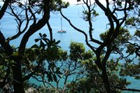 Copy (2) of IMG_1019.JPG