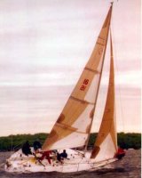 pickiwi35aa.jpg