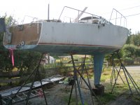 Carpenter 24 001.jpg