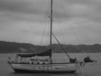 Bahia Boat.jpg
