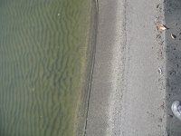 IMG_0239.JPG