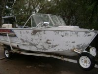 lone star 006.JPG