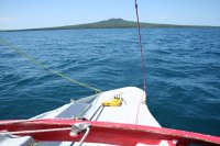 Copy of IMG_1295.JPG