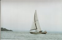 Harvey beatingme.jpg