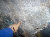 Copy of IM000022.JPG