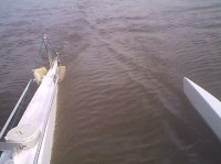 rudder1.jpg