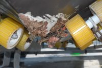 front hull.JPG