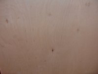 DSC05639.JPG