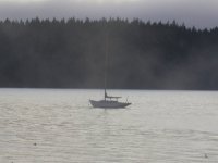 unknown sailboat.jpg