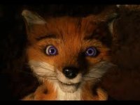 fox.jpg