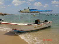 DSC04595.JPG