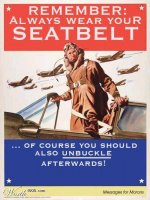 SeatBelt.jpg
