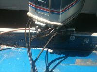 IMG_0517.JPG