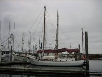 IMG_2109.jpg