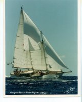 Arcadia Antigua Race week.jpg