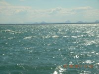 DSCN4530.jpg
